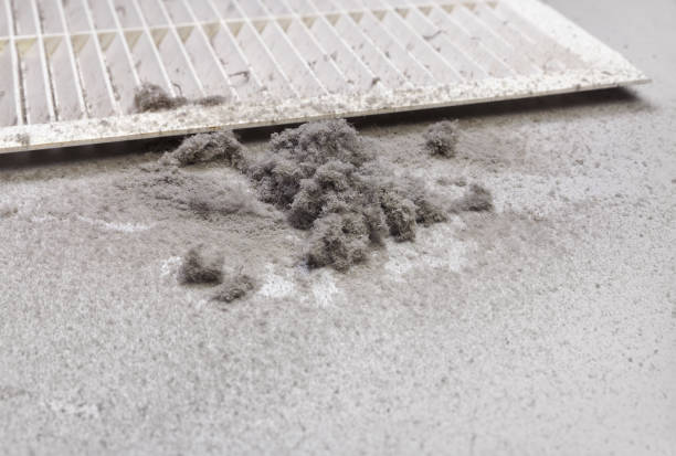 Best Professional Duct Cleaning Services  in Mountain View, NC