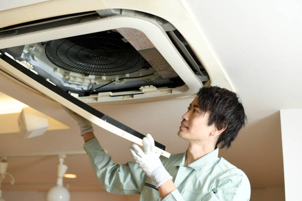 Best Local Air Duct Cleaning Services  in Mountain View, NC