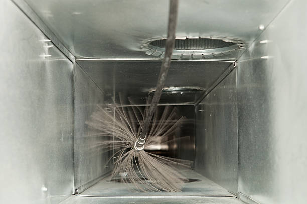 Best Professional Duct Cleaning Services  in Mountain View, NC